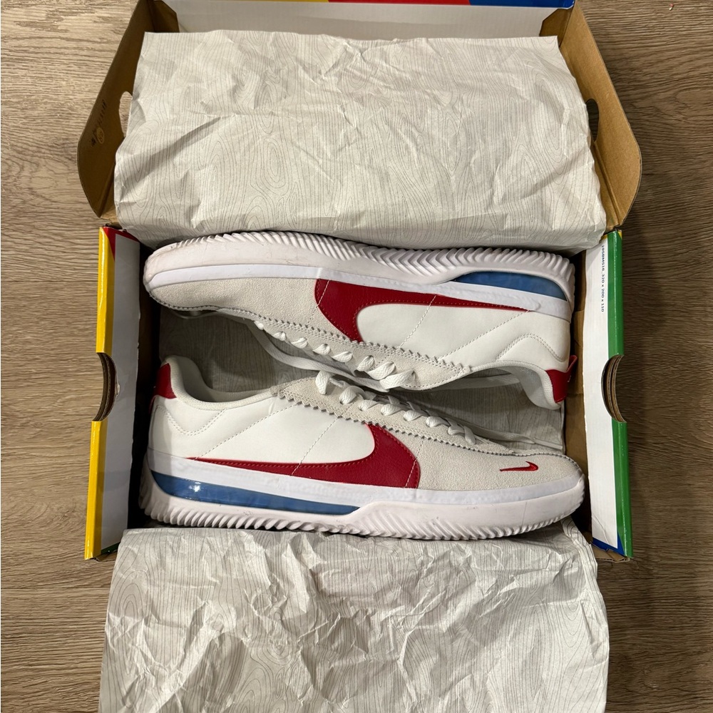Nike BRSB Shoes